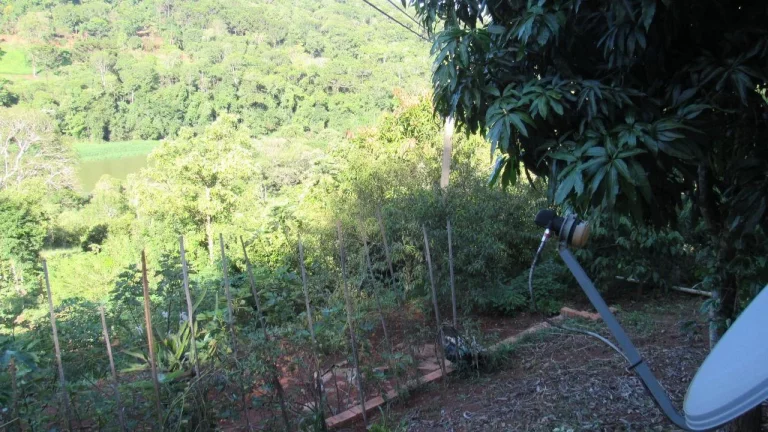 Imagem Sítio / Chácara para Venda em Concórdia, Rural, 3 dormitórios, 1 banheiro