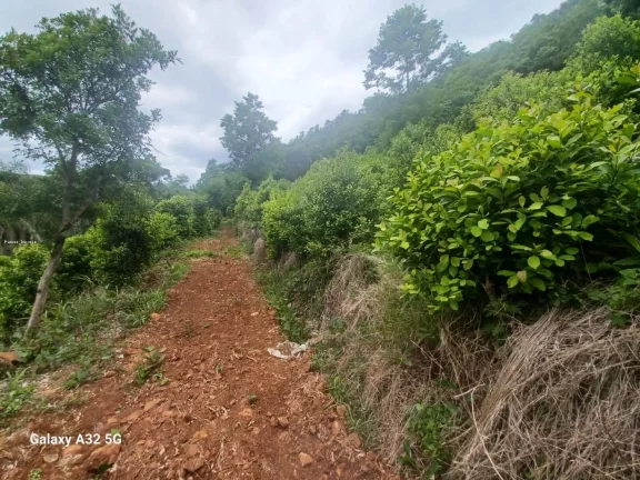 Imagem Terreno para Venda em Concórdia, Santo Antônio