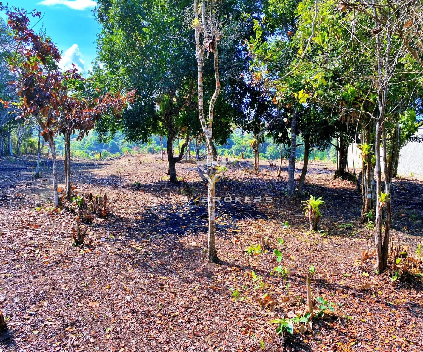 Imagem TERRENO RESIDENCIAL em Porto Seguro - BA, CHÁCARAS PANÔRAMICAS
