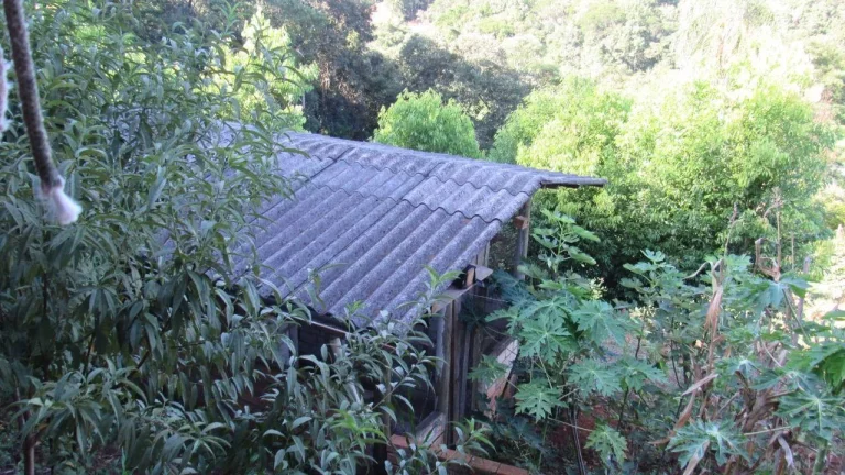 Imagem Sítio / Chácara para Venda em Concórdia, Rural, 3 dormitórios, 1 banheiro