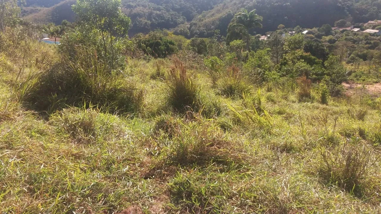 Imagem Chácara à venda 608M², Zona Rural, Santa Branca - SP