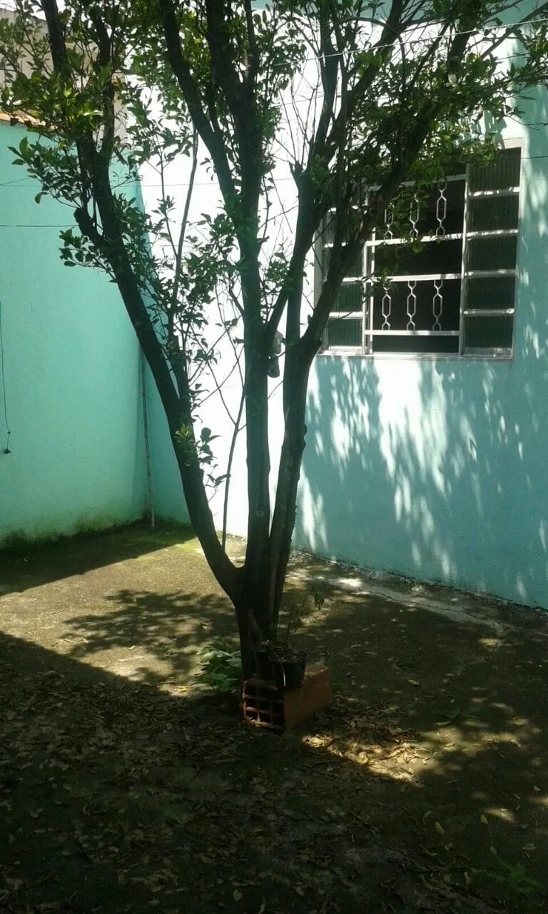 Imagem Casa à venda 2 Quartos, 2 Vagas, 125M², Vila Velha, Roseira - SP