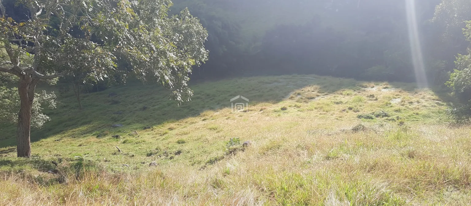 Imagem Sítio à venda em Córrego das Foices, Bandeira do Sul