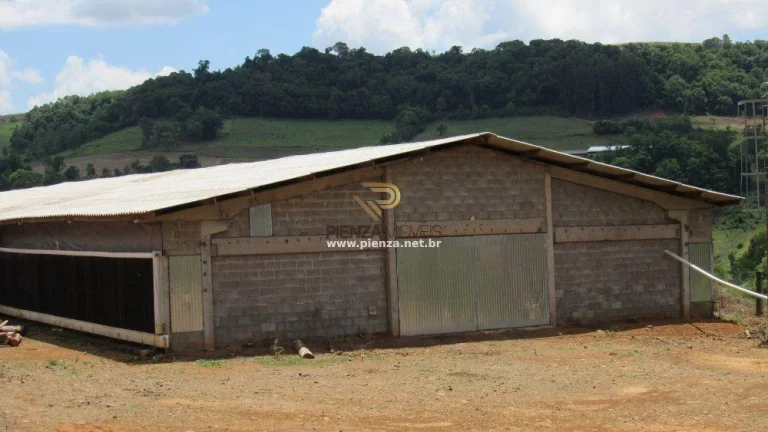 Imagem Granja para Venda em Lindóia do Sul, Interior