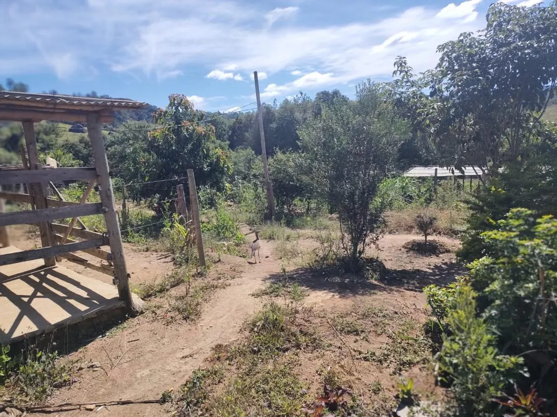 Imagem Excelente Terreno à Venda em Desterro de Entre Rios: 15 Hectares Totalmente Plano