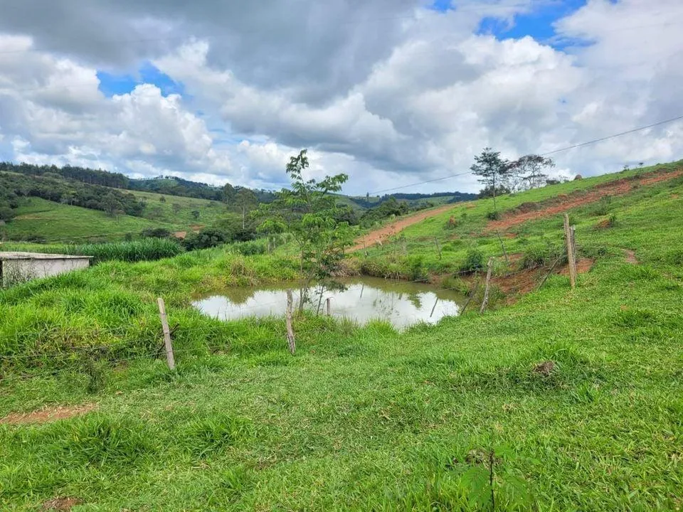 Imagem Terreno à Venda em Piedade dos Gerais / MG 15 hectares de área total