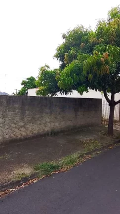 Imagem Terreno Padrão