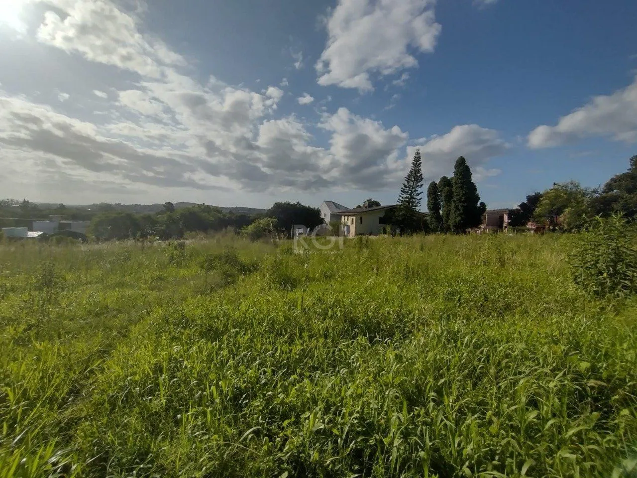 Imagem Área de terras no bairro Campo Novo