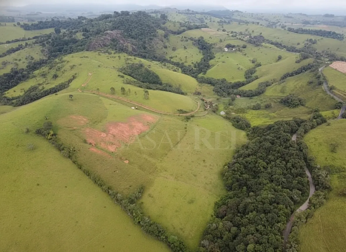 Imagem Sítio 52,64 ha à venda em Figueira, Caldas