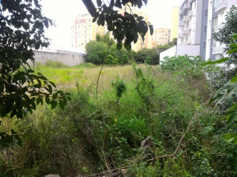 Imagem Terreno para Venda - 0m², 0 dormitórios, Tristeza