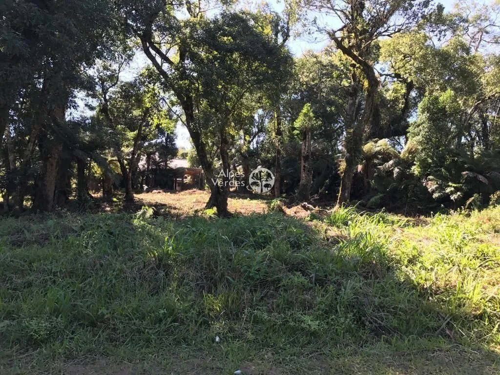 Imagem Vende-se Terreno em Canela a cerca de 3 minutos da Catedral de Pedra
