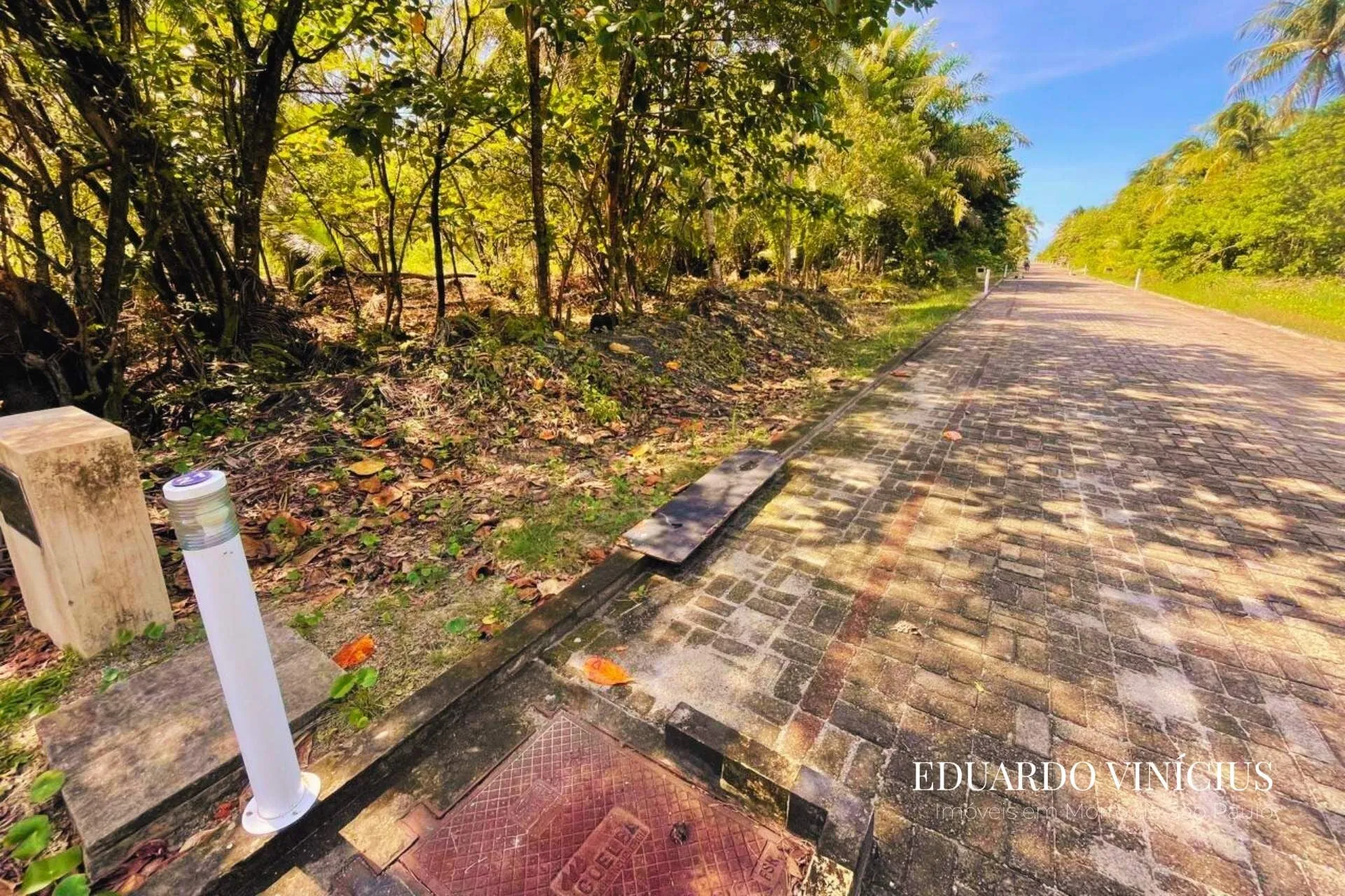 Imagem Dolce Vita Praia - Terreno com 1.000m² em Condomínio de Luxo À Venda em Morro de São Paulo