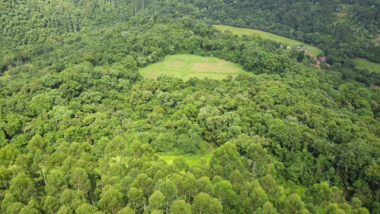 Imagem Área Agrícola para Venda em Concórdia, Concórdia