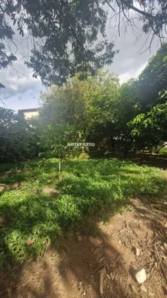 Imagem Area com casa