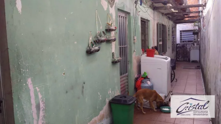 Imagem Casa com 2 quartos à venda, 200 m² - Butantã - São Paulo/SP