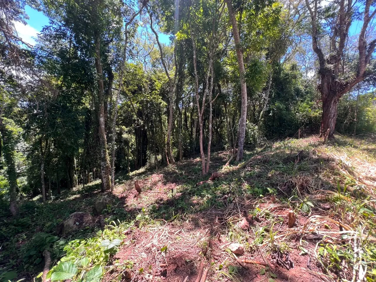 Imagem Terreno à 600mts da Repressa de Itupararanga no Loteamento Saveiros de Ibiúna
