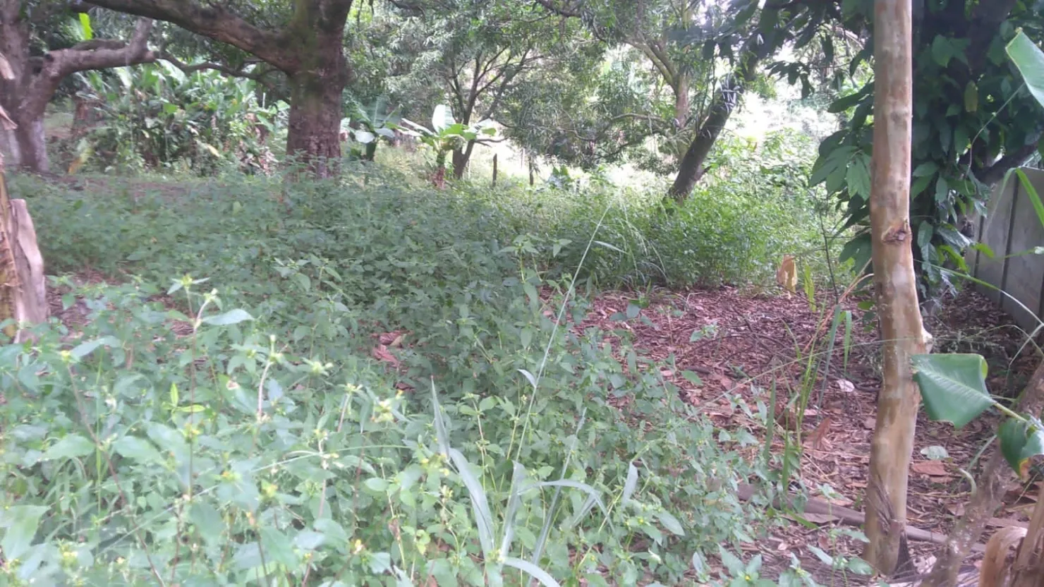 Imagem Terreno à venda 6866M², Crispim, Pindamonhangaba - SP