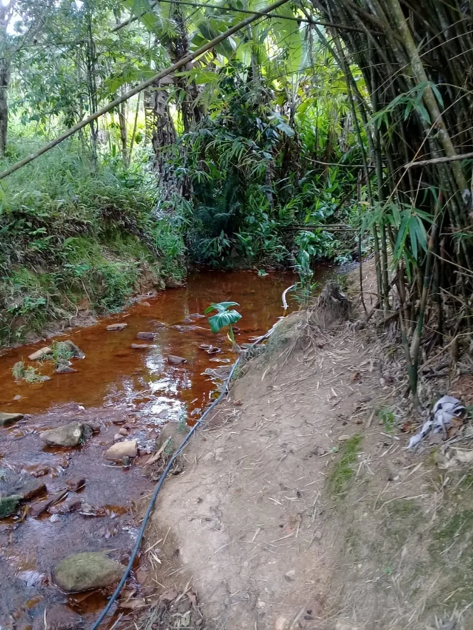 Imagem Chácara à venda 20000M², Mandú, Pindamonhangaba - SP