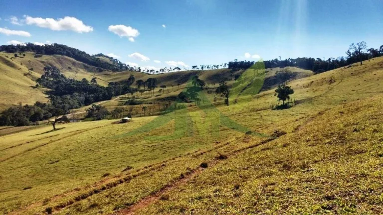Imagem FAZENDA GADO NELORE COM 100 ALQUEIRES em Cambui MG