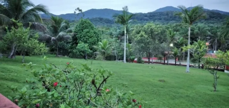 Imagem Casa de Condomínio com 6 Quartos à Venda, 800 m² em Parque Serra Mar - Peruíbe