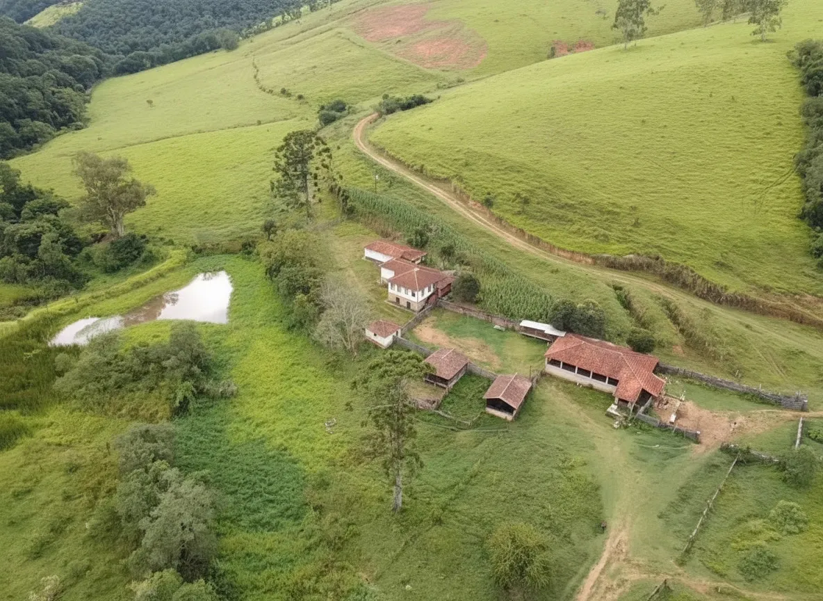 Imagem Sítio 52,64 ha à venda em Figueira, Caldas