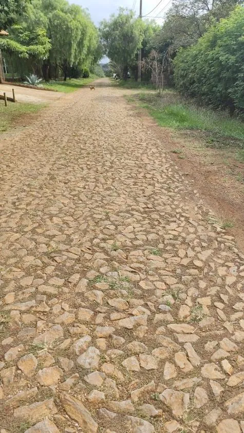 Imagem Chácara à Venda Vivendas Santa Mônica II Igarapé/MG Área total: 1.000 m²