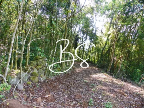 Imagem SITIO RURAL em NOVA PETRÓPOLIS - RS, Linha Pirajá Baixa