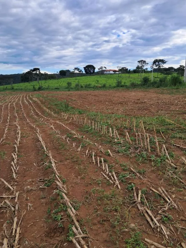 Imagem VENDE-SE FAZENDA EM PASSA TEMPO / MG área total de 100 hectares