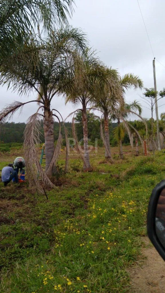 Imagem Area para Venda - 7787.1m², 0 dormitórios, Centro