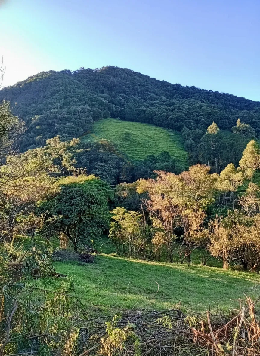 Imagem Chácara à venda em Campininhas, Caldas