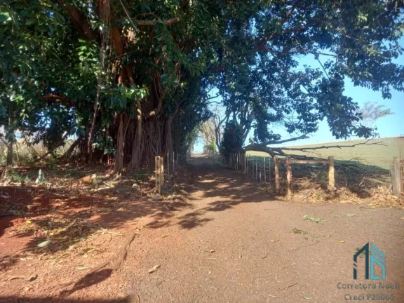Imagem Sítio 30 alqueires extra imperdível - Oportunidade Única! em Cornélio Procópio PR
