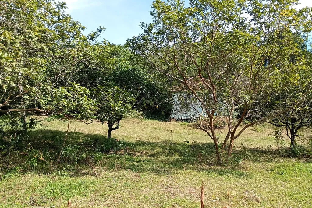 Imagem Fazenda em Belém Novo