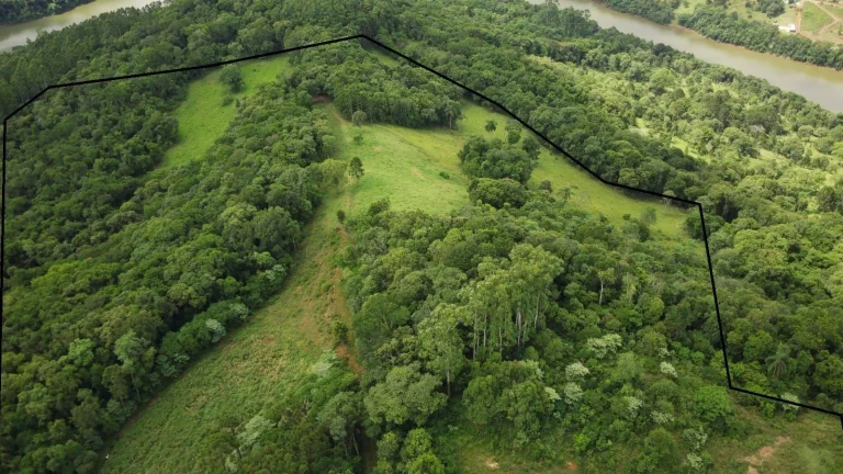Imagem Área Agrícola para Venda em Concórdia, Interior