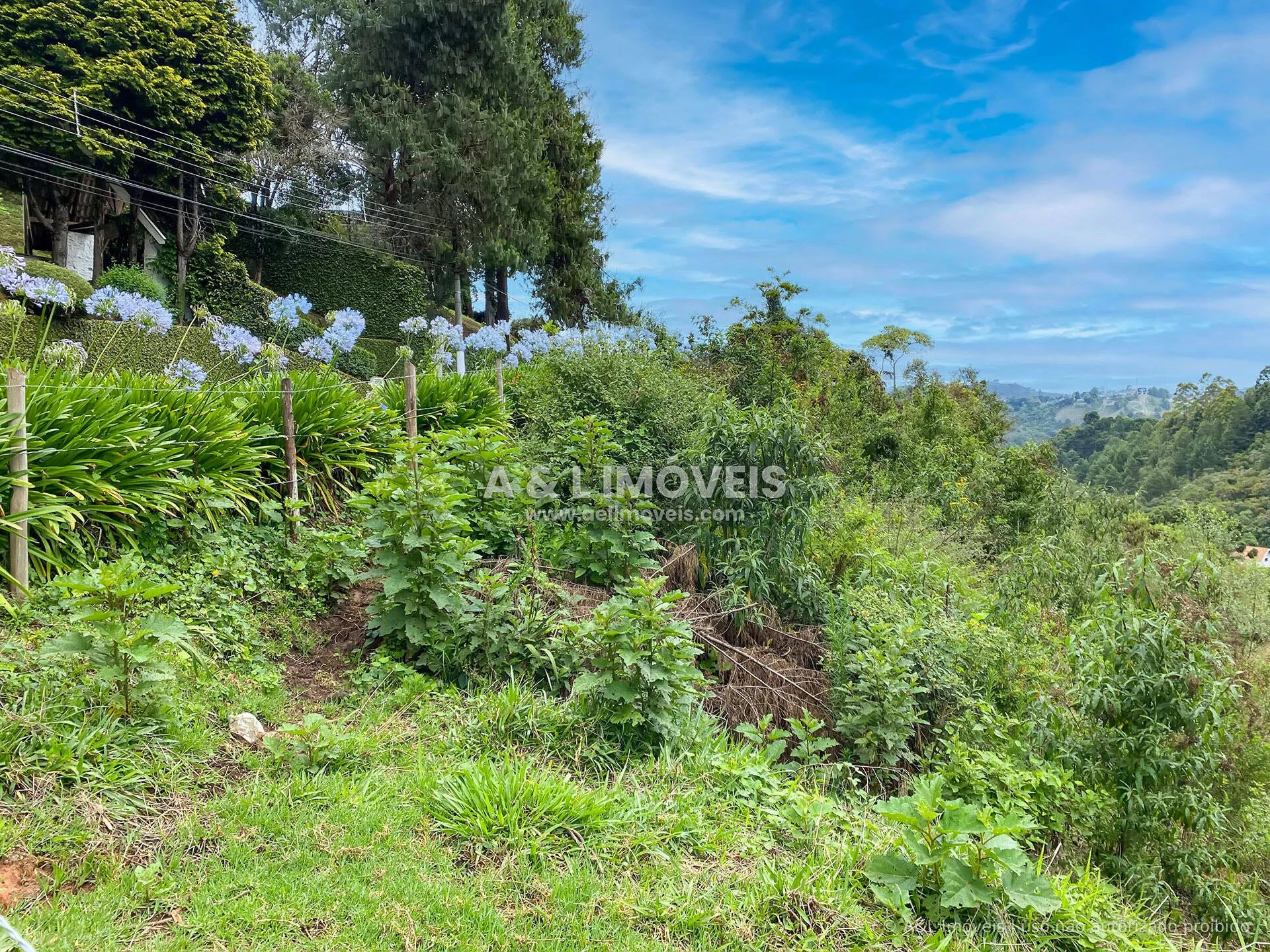 Imagem Lote à venda no Alto do Capivari com acesso por via asfaltada