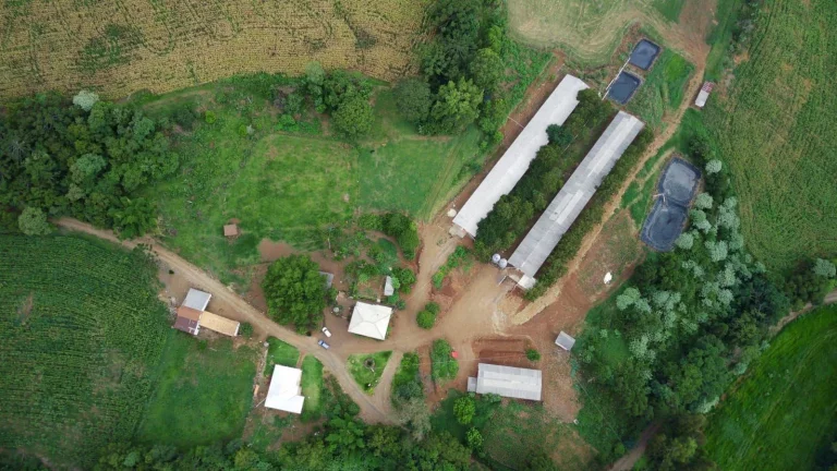 Imagem Área Agrícola para Venda em Três Arroios, Rural