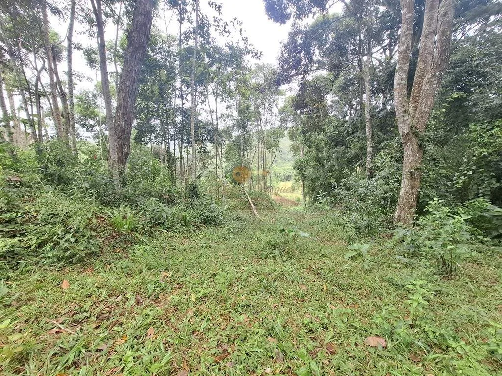 Imagem Sítio para Venda em Teresópolis / RJ no bairro Serrinha