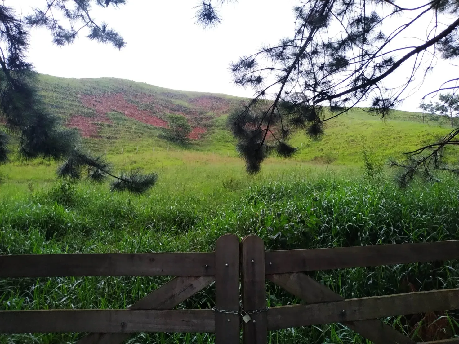 Imagem Chácara à venda 30000M², Zona Rural, Silveiras - SP