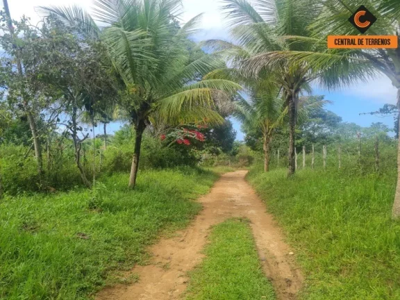 Imagem TERRENO EM BARRA DE POJUCA - LINHA VERDE
