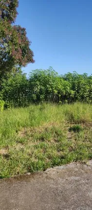 Imagem Terreno à Venda, 365 m² em Milanese - Criciúma