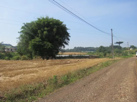 Imagem Área Agrícola para Venda em Concórdia, Tamanduá
