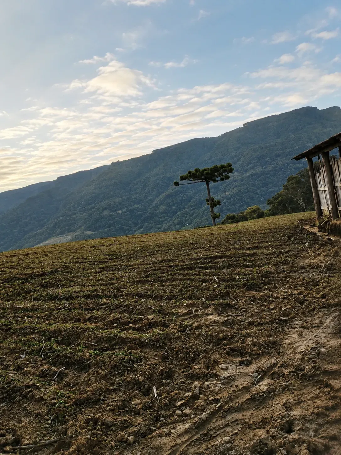 Imagem Chácara com 2 Quartos à Venda, 60000 m² em Alfredo Wagner - Alfredo Wagner