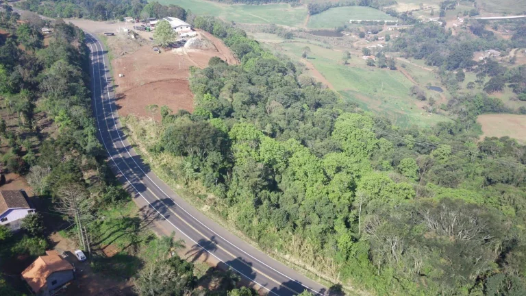 Foto do imóvel Terreno para Venda em Concórdia, Interior em Transbrasiliana
