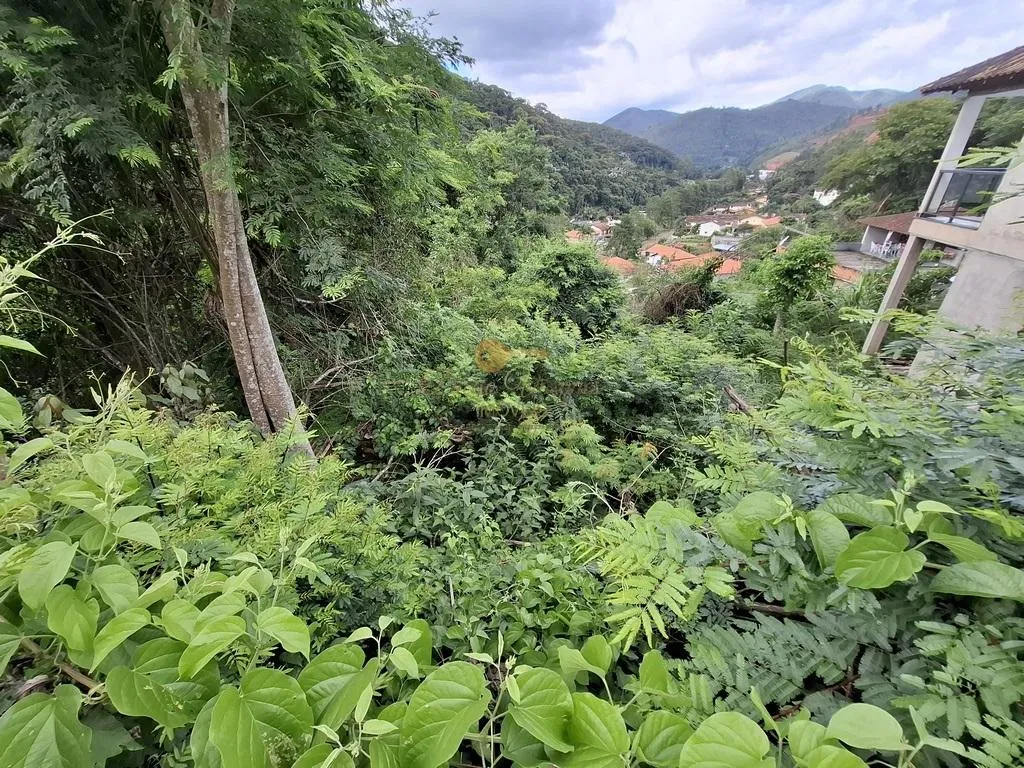 Imagem Terreno para Venda em Teresópolis / RJ no bairro Albuquerque