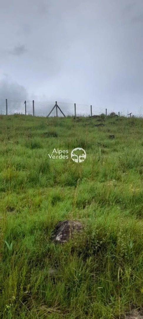 Imagem Terreno á venda por R$ 100.000,00 - Vila Eletra, São Francisco de Paula/RS