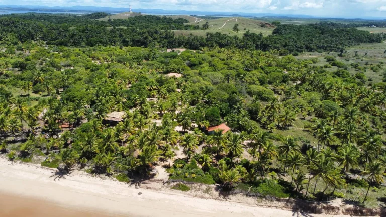 Imagem SÍTIO FRENTE MAR - MM