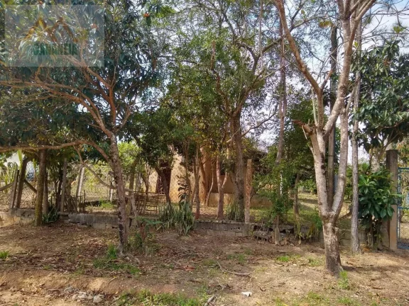 Imagem CHÁCARA CANANÉIA