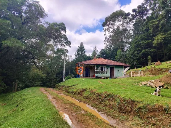 Foto do imóvel Sítio à venda, 60500 m² por R$ 905.000 - Bom Jardim - Camanducaia/MG