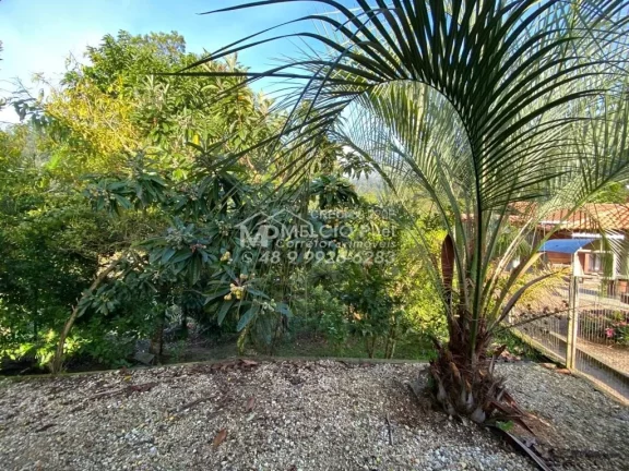 Imagem Sítio a venda em Nova Trento - Terra de Santa Paulina. Com área de 7.000m², muitas árvores ao redor. Plantas frutíferas,