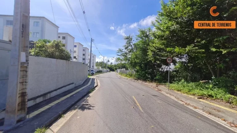 Imagem TERRENO EM ABRANTES