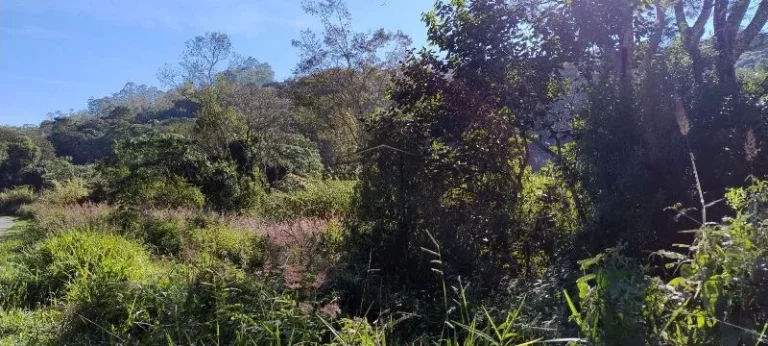 Imagem Terreno à venda no bairro Cedro - Cunha/SP